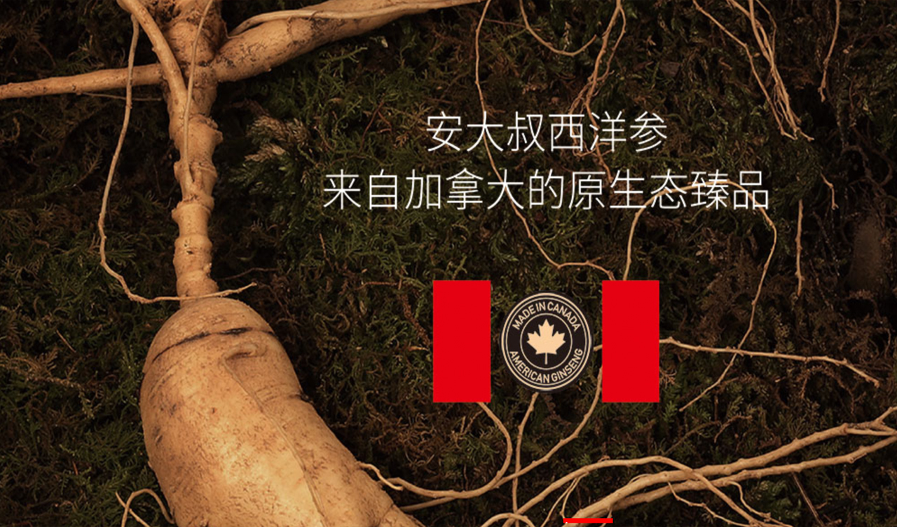 安大叔 - 品牌设计